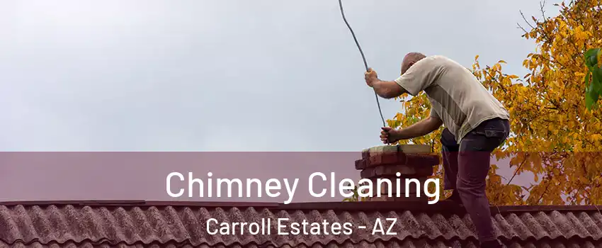 Chimney Cleaning Carroll Estates - AZ