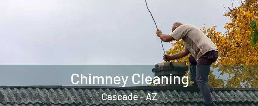 Chimney Cleaning Cascade - AZ