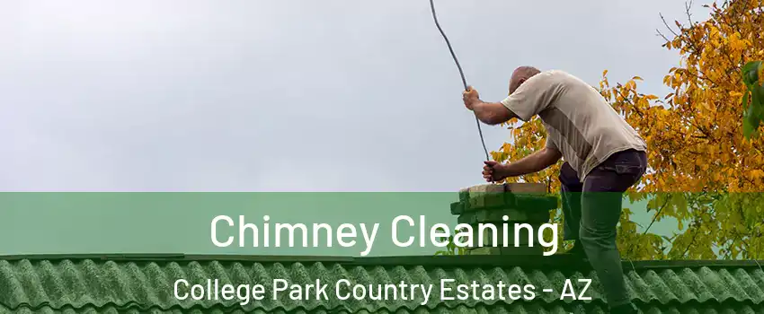 Chimney Cleaning College Park Country Estates - AZ