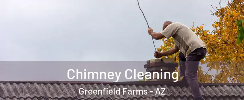 Chimney Cleaning Greenfield Farms - AZ