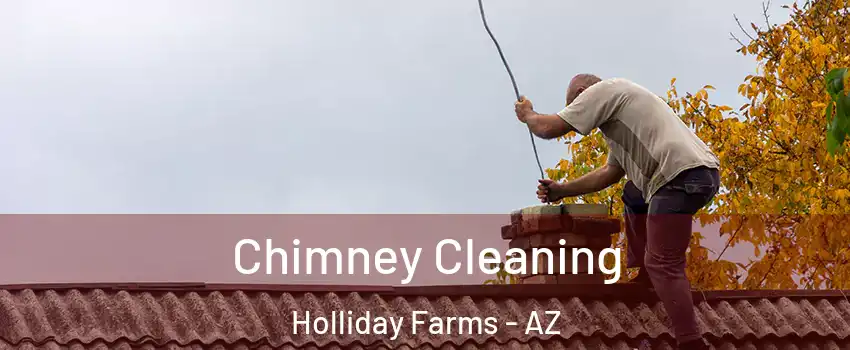 Chimney Cleaning Holliday Farms - AZ
