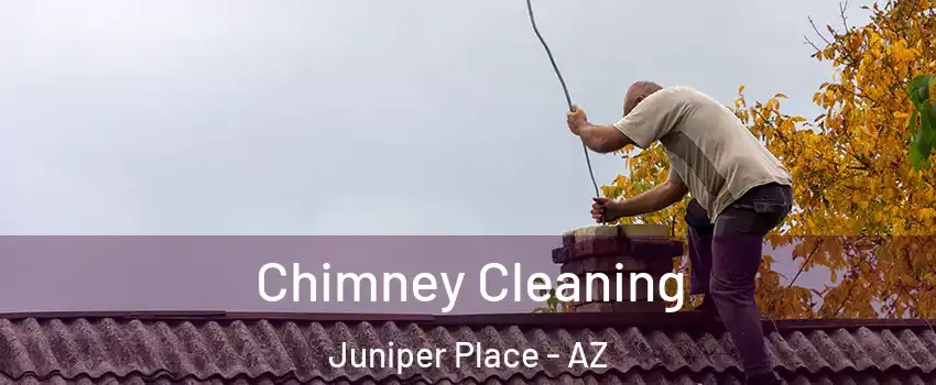Chimney Cleaning Juniper Place - AZ