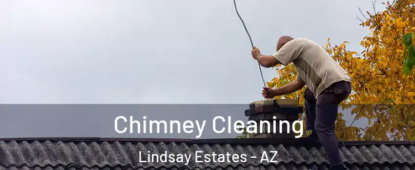 Chimney Cleaning Lindsay Estates - AZ