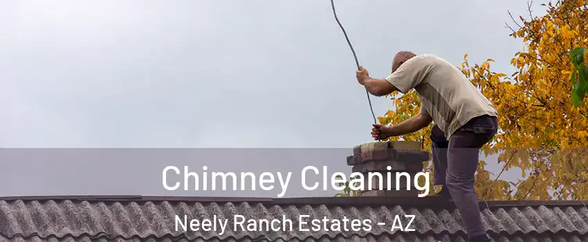 Chimney Cleaning Neely Ranch Estates - AZ