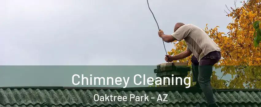 Chimney Cleaning Oaktree Park - AZ