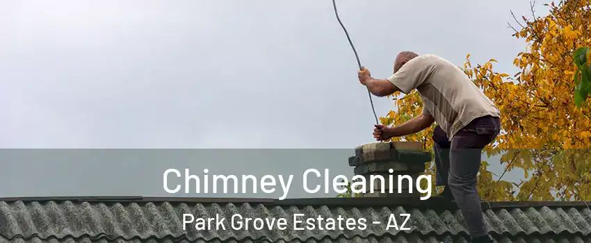 Chimney Cleaning Park Grove Estates - AZ