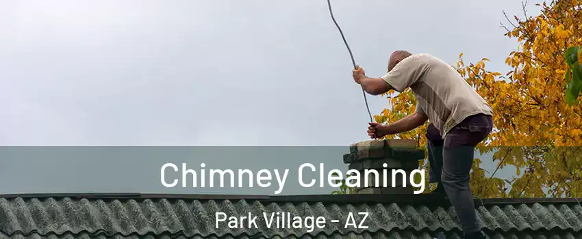 Chimney Cleaning Park Village - AZ