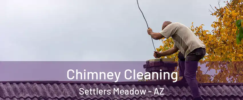 Chimney Cleaning Settlers Meadow - AZ