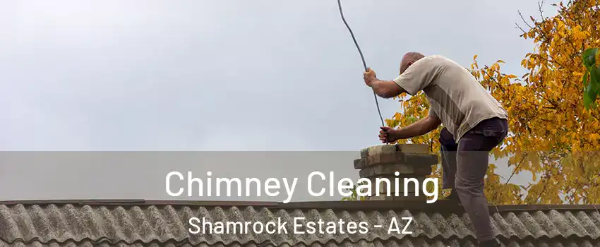 Chimney Cleaning Shamrock Estates - AZ