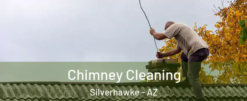 Chimney Cleaning Silverhawke - AZ