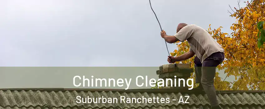 Chimney Cleaning Suburban Ranchettes - AZ