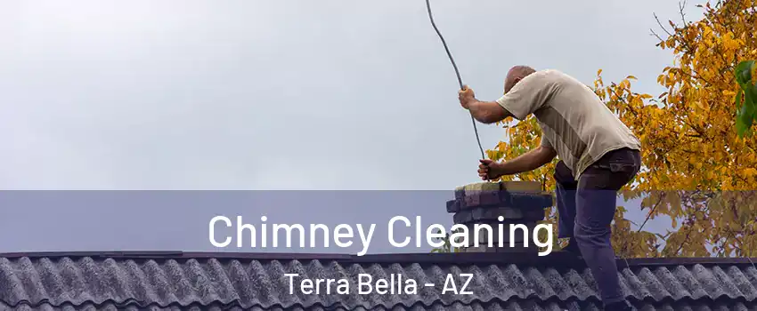 Chimney Cleaning Terra Bella - AZ