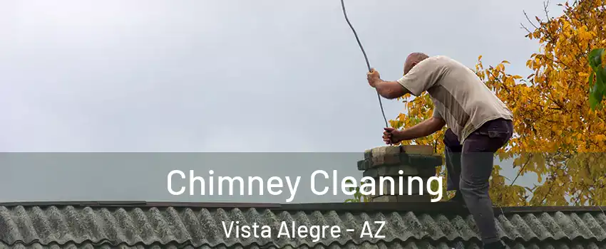 Chimney Cleaning Vista Alegre - AZ
