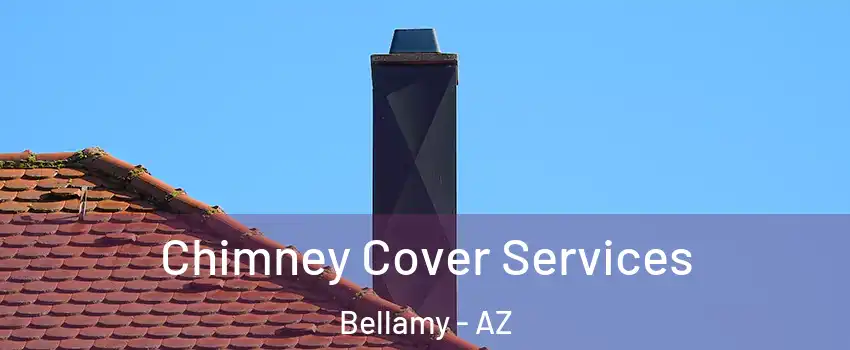 Chimney Cover Services Bellamy - AZ