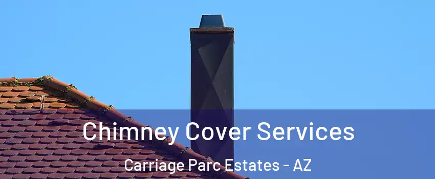 Chimney Cover Services Carriage Parc Estates - AZ