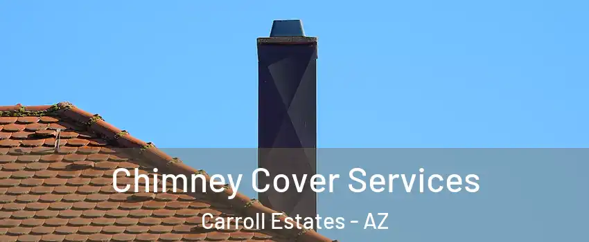 Chimney Cover Services Carroll Estates - AZ