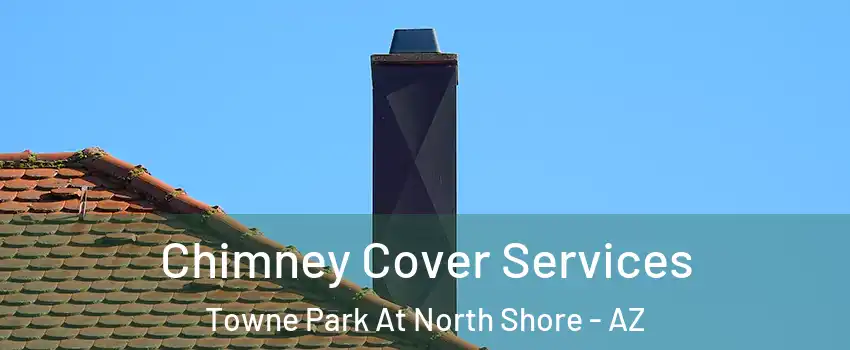 Chimney Cover Services Towne Park At North Shore - AZ