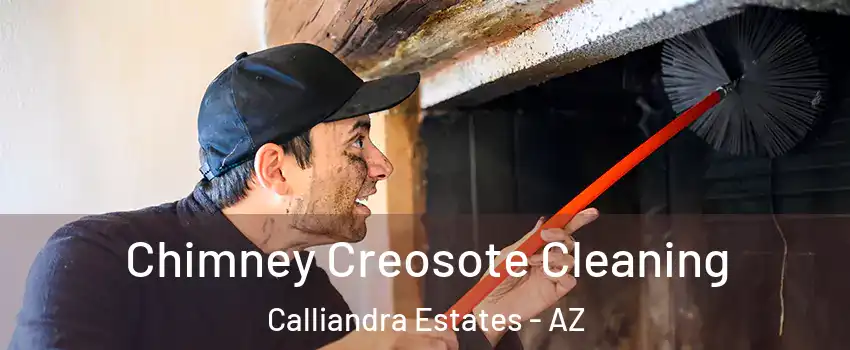 Chimney Creosote Cleaning Calliandra Estates - AZ