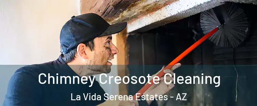 Chimney Creosote Cleaning La Vida Serena Estates - AZ