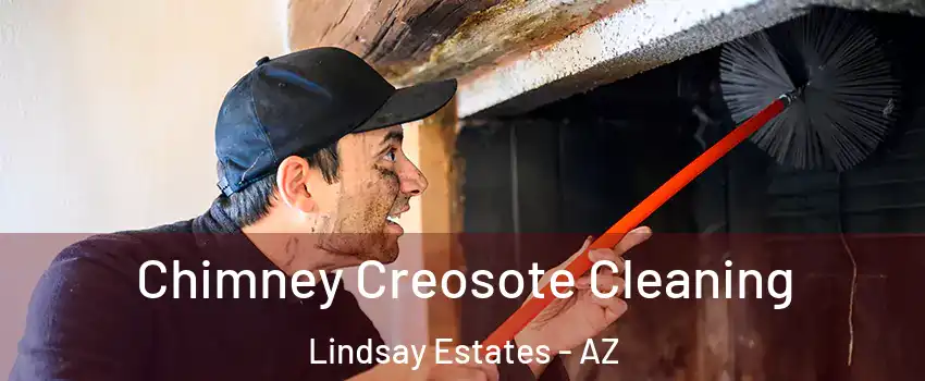 Chimney Creosote Cleaning Lindsay Estates - AZ