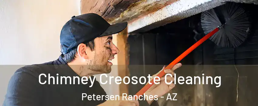 Chimney Creosote Cleaning Petersen Ranches - AZ
