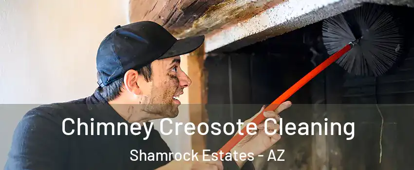 Chimney Creosote Cleaning Shamrock Estates - AZ