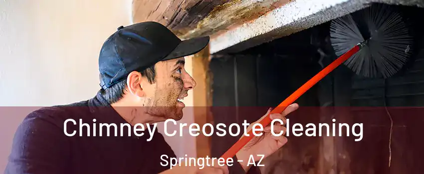 Chimney Creosote Cleaning Springtree - AZ