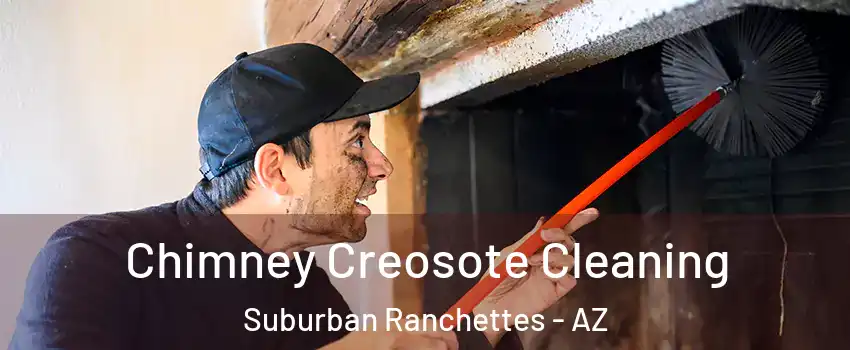 Chimney Creosote Cleaning Suburban Ranchettes - AZ