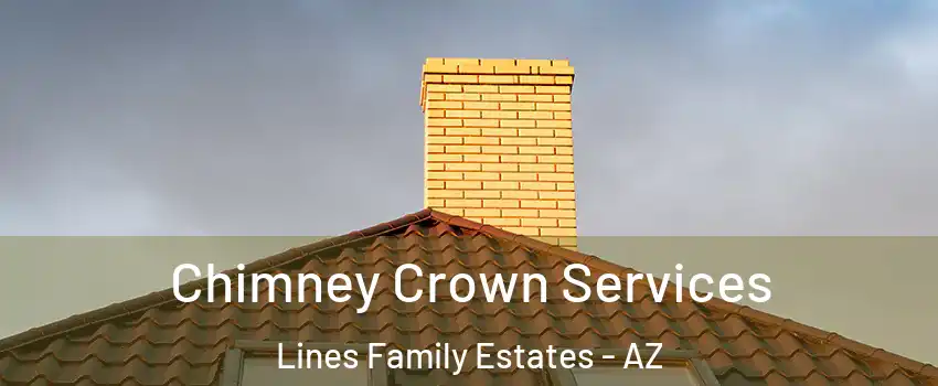 Chimney Crown Services Lines Family Estates - AZ