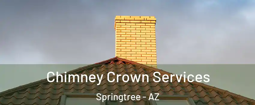 Chimney Crown Services Springtree - AZ