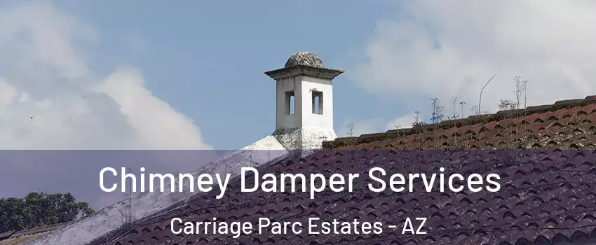 Chimney Damper Services Carriage Parc Estates - AZ