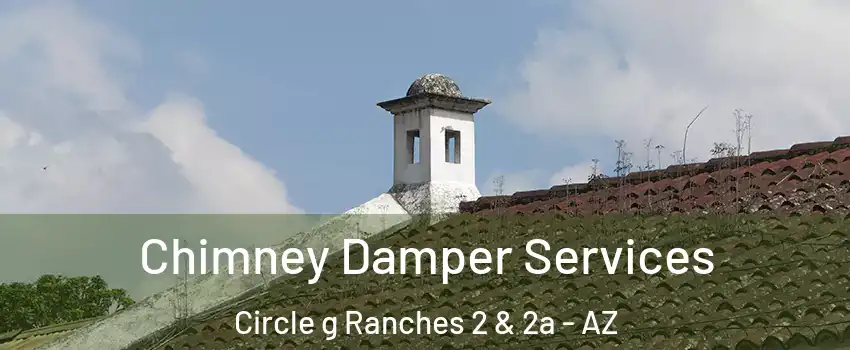 Chimney Damper Services Circle g Ranches 2 & 2a - AZ