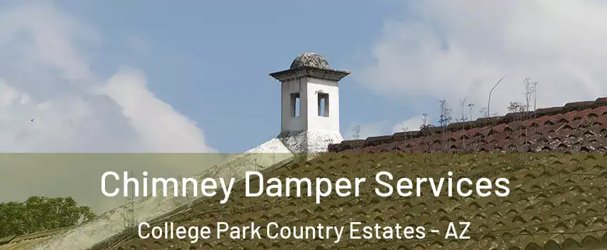 Chimney Damper Services College Park Country Estates - AZ