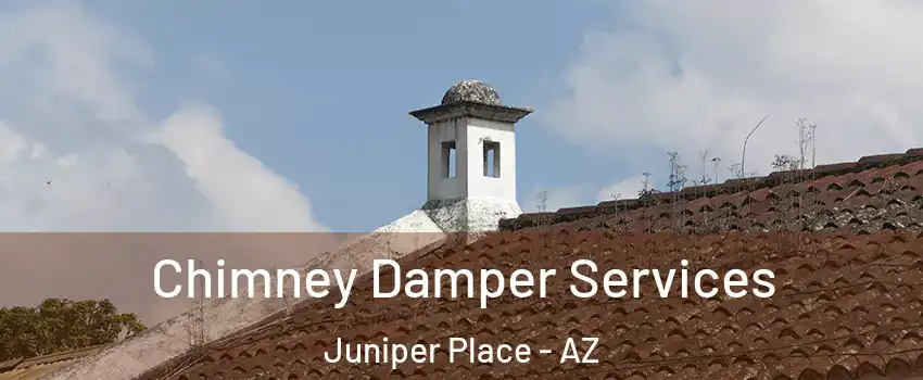 Chimney Damper Services Juniper Place - AZ