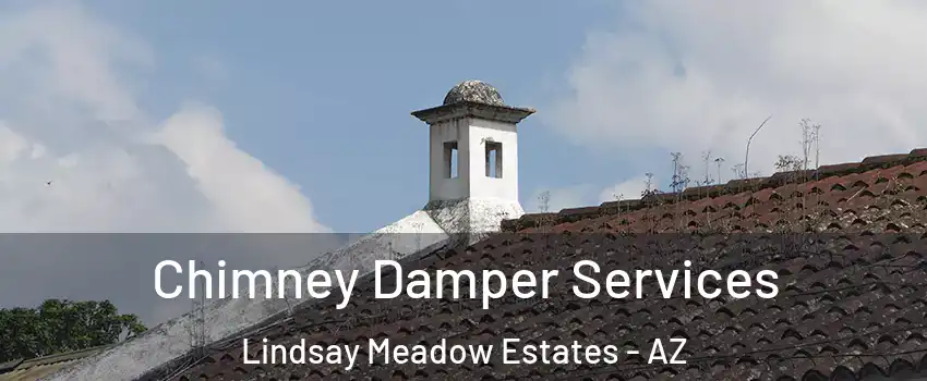 Chimney Damper Services Lindsay Meadow Estates - AZ