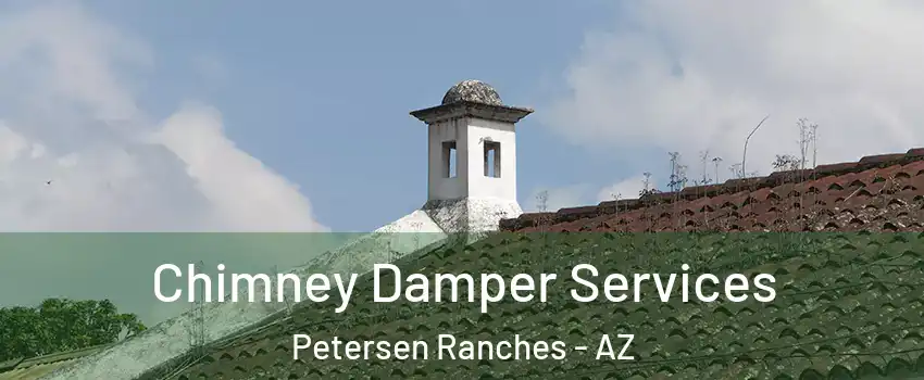 Chimney Damper Services Petersen Ranches - AZ