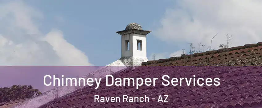 Chimney Damper Services Raven Ranch - AZ