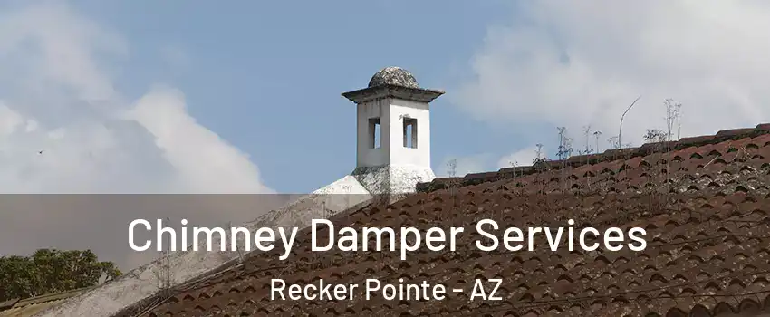 Chimney Damper Services Recker Pointe - AZ