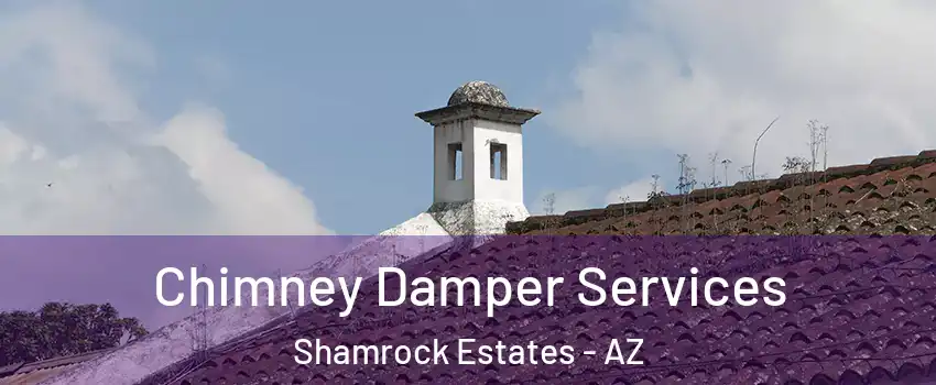 Chimney Damper Services Shamrock Estates - AZ