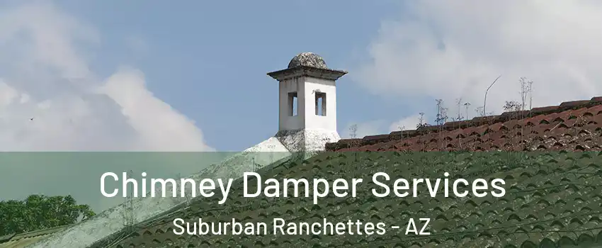 Chimney Damper Services Suburban Ranchettes - AZ