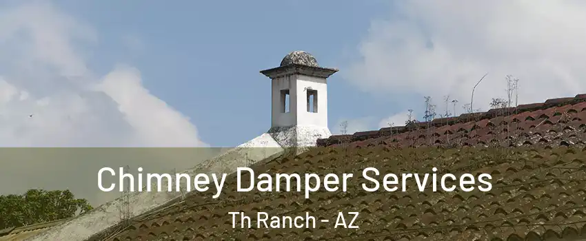 Chimney Damper Services Th Ranch - AZ