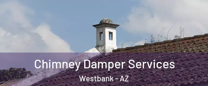 Chimney Damper Services Westbank - AZ