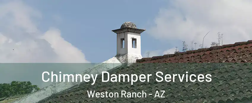 Chimney Damper Services Weston Ranch - AZ