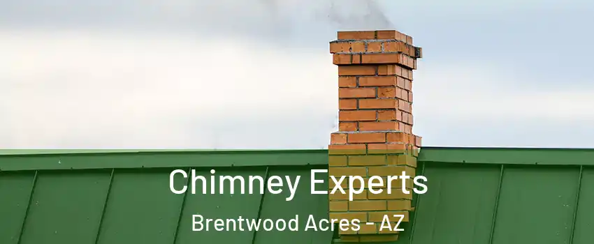 Chimney Experts Brentwood Acres - AZ
