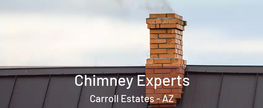 Chimney Experts Carroll Estates - AZ