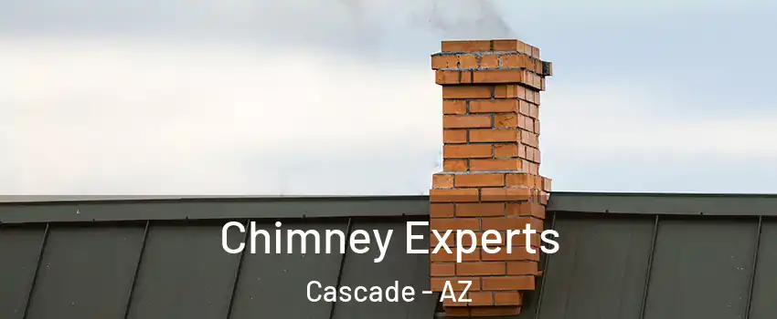 Chimney Experts Cascade - AZ