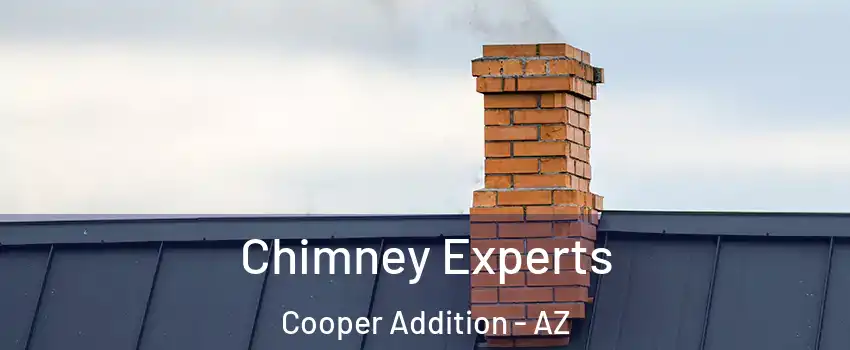 Chimney Experts Cooper Addition - AZ