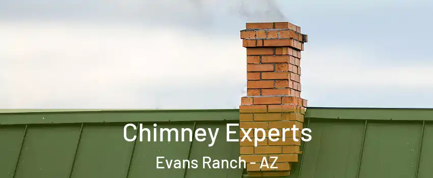 Chimney Experts Evans Ranch - AZ