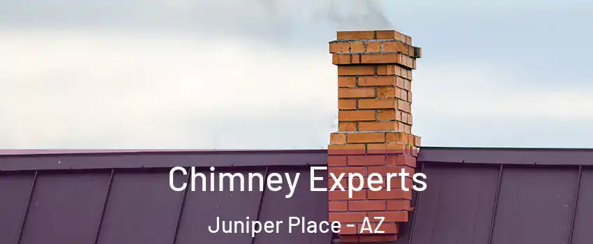 Chimney Experts Juniper Place - AZ