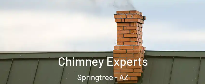 Chimney Experts Springtree - AZ